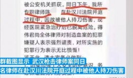 武汉法院爆料案件最新,惊天大案背后真相揭露